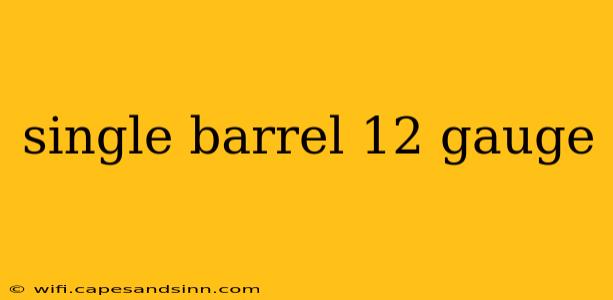 single barrel 12 gauge