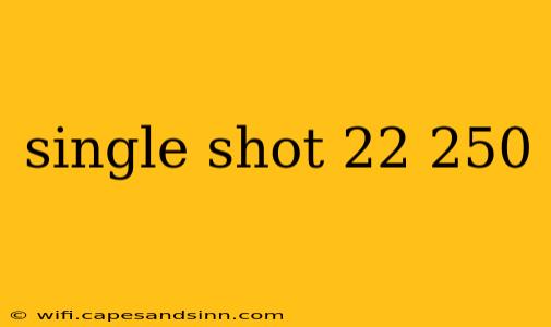 single shot 22 250