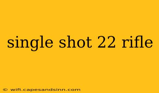 single shot 22 rifle