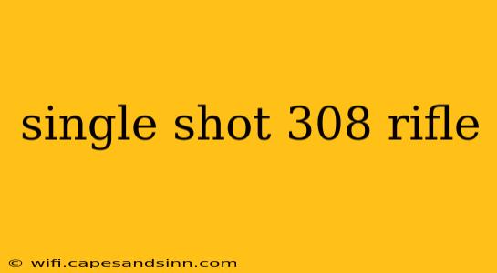 single shot 308 rifle