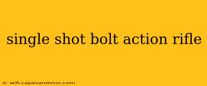 single shot bolt action rifle