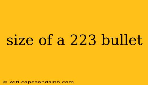 size of a 223 bullet