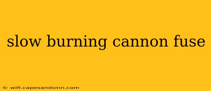 slow burning cannon fuse