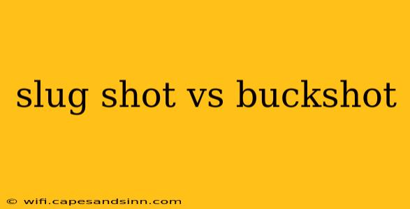 slug shot vs buckshot