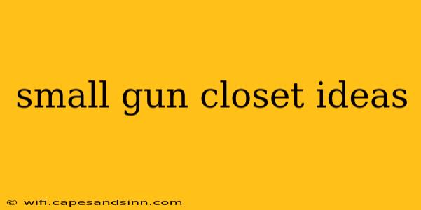 small gun closet ideas