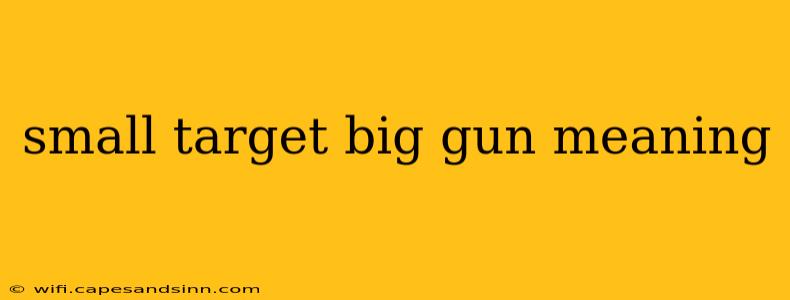 small target big gun meaning