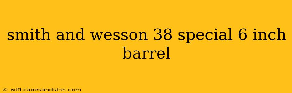 smith and wesson 38 special 6 inch barrel