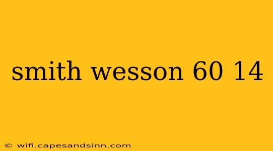 smith wesson 60 14