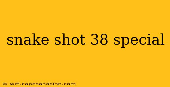 snake shot 38 special