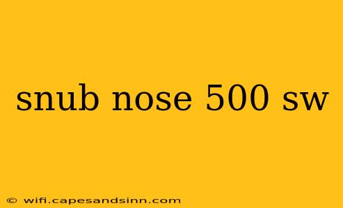 snub nose 500 sw