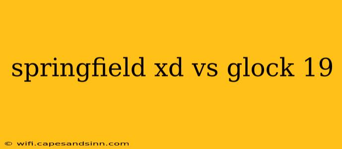 springfield xd vs glock 19