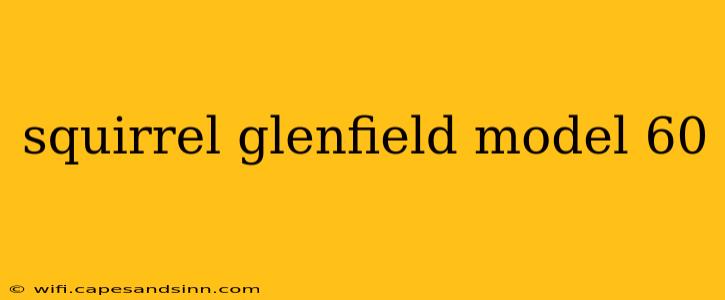 squirrel glenfield model 60