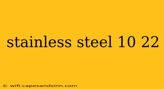 stainless steel 10 22