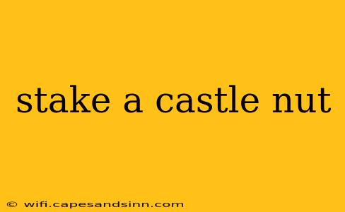 stake a castle nut