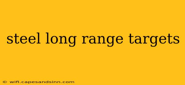 steel long range targets