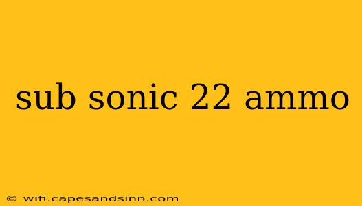 sub sonic 22 ammo