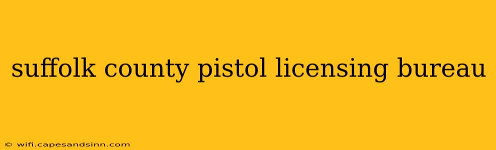 suffolk county pistol licensing bureau