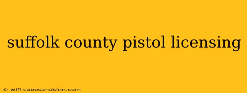 suffolk county pistol licensing