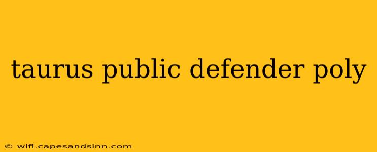 taurus public defender poly