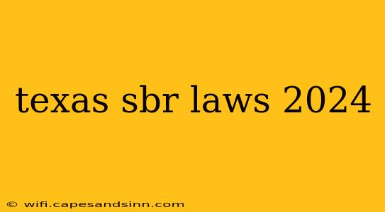 texas sbr laws 2024