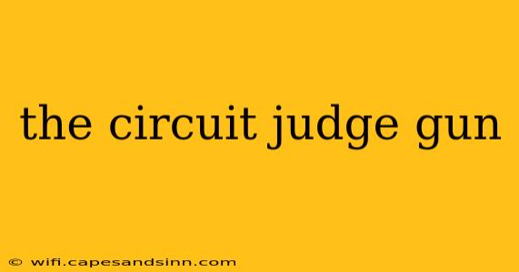 the circuit judge gun