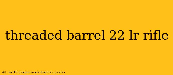 threaded barrel 22 lr rifle