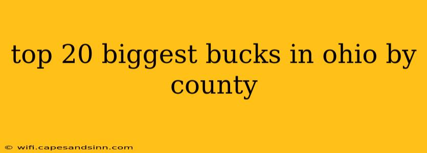 top 20 biggest bucks in ohio by county