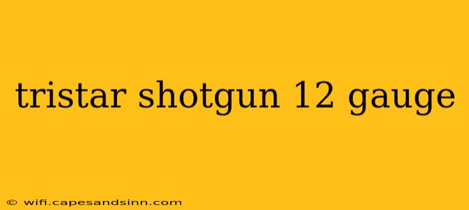 tristar shotgun 12 gauge