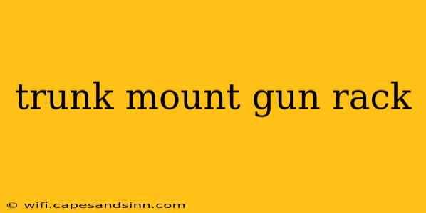 trunk mount gun rack