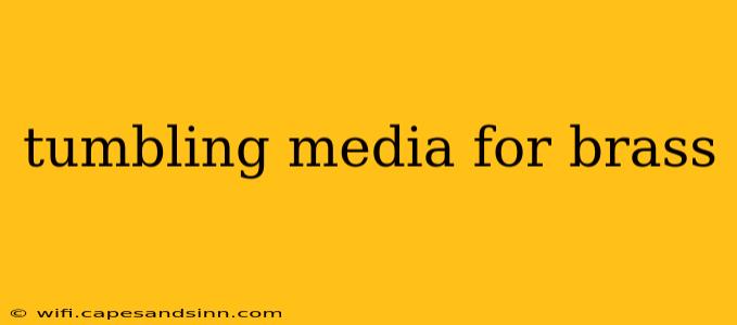 tumbling media for brass