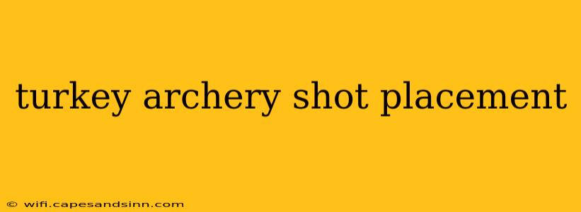 turkey archery shot placement