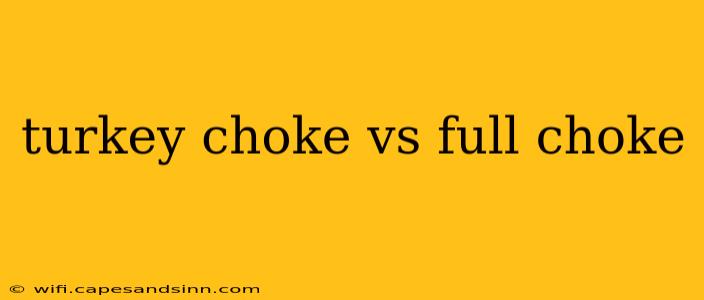 turkey choke vs full choke