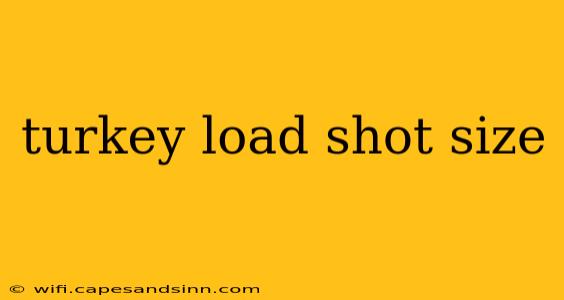 turkey load shot size