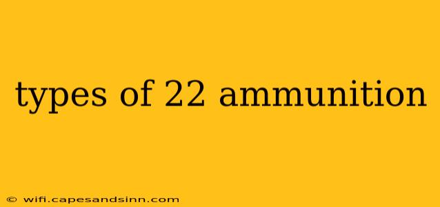 types of 22 ammunition