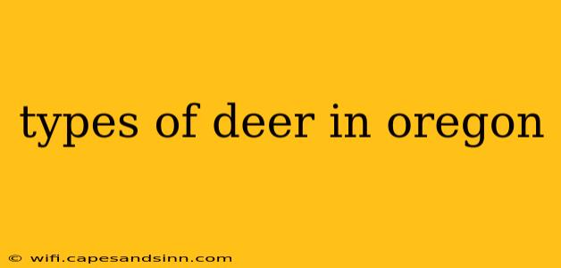 types of deer in oregon