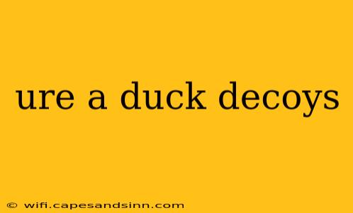 ure a duck decoys