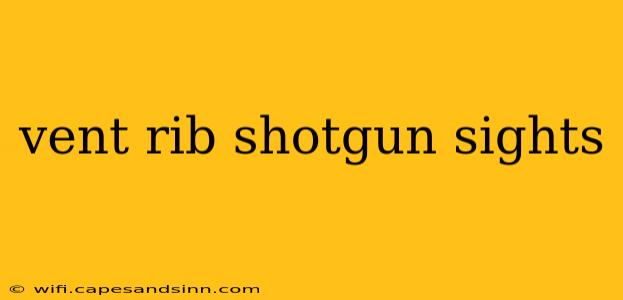 vent rib shotgun sights