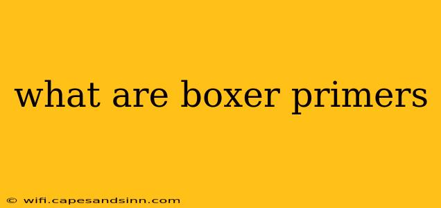 what are boxer primers