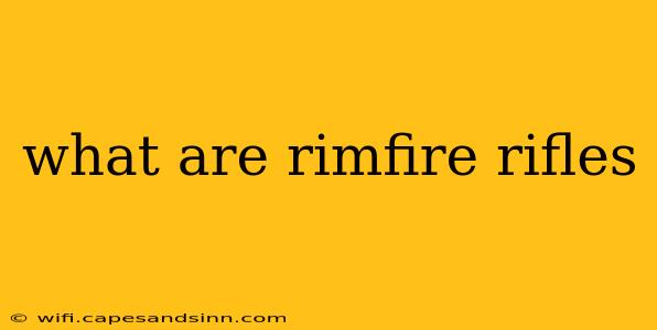 what are rimfire rifles