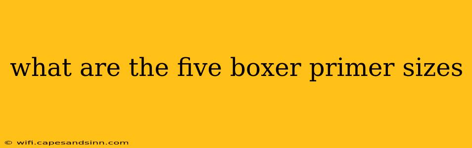 what are the five boxer primer sizes