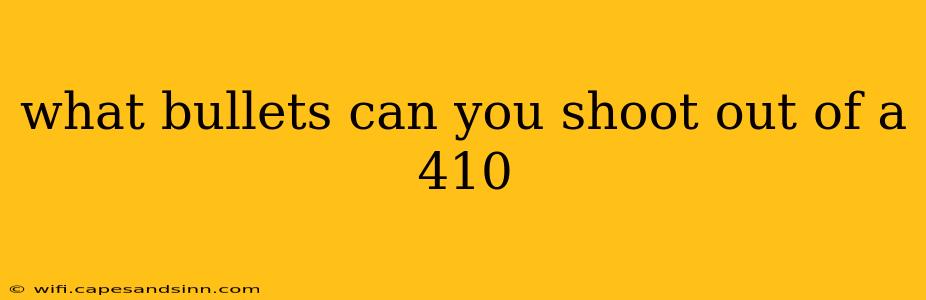 what bullets can you shoot out of a 410