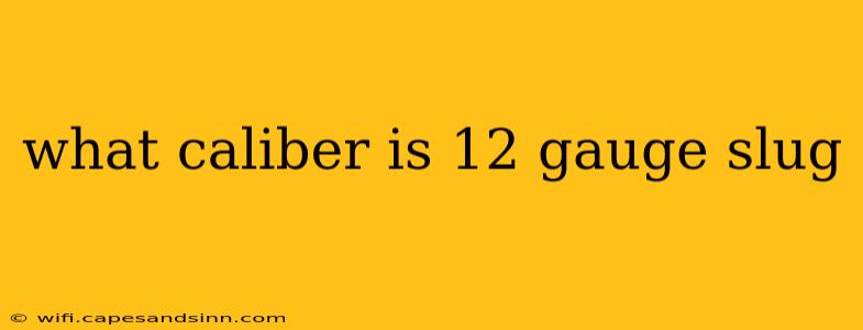 what caliber is 12 gauge slug