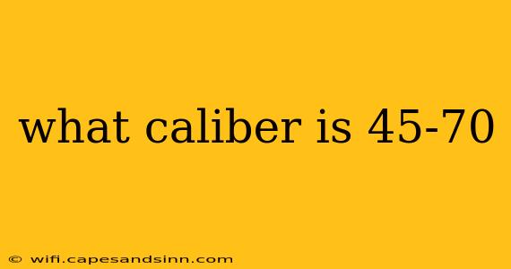 what caliber is 45-70