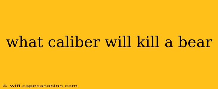 what caliber will kill a bear