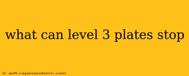 what can level 3 plates stop