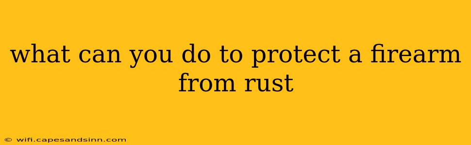 what can you do to protect a firearm from rust