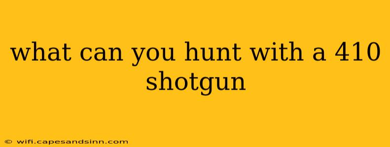 what can you hunt with a 410 shotgun