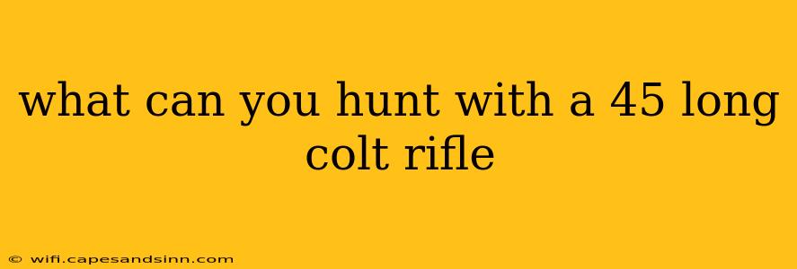 what can you hunt with a 45 long colt rifle