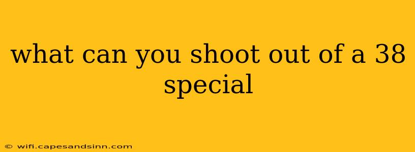 what can you shoot out of a 38 special