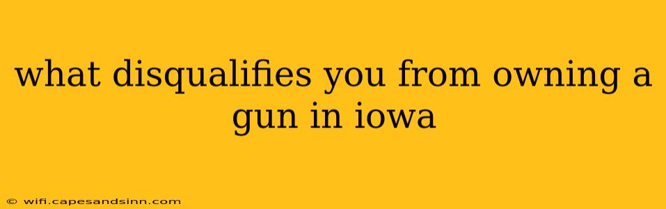 what disqualifies you from owning a gun in iowa